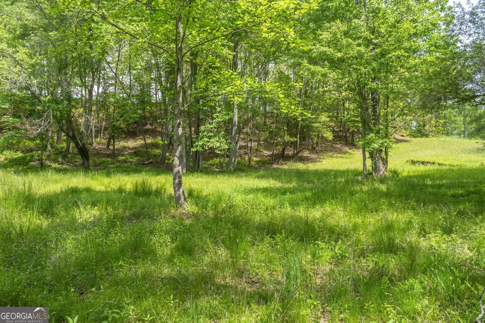 LOT 5-5A Waterstone WAY Mineral Bluff, GA 30559