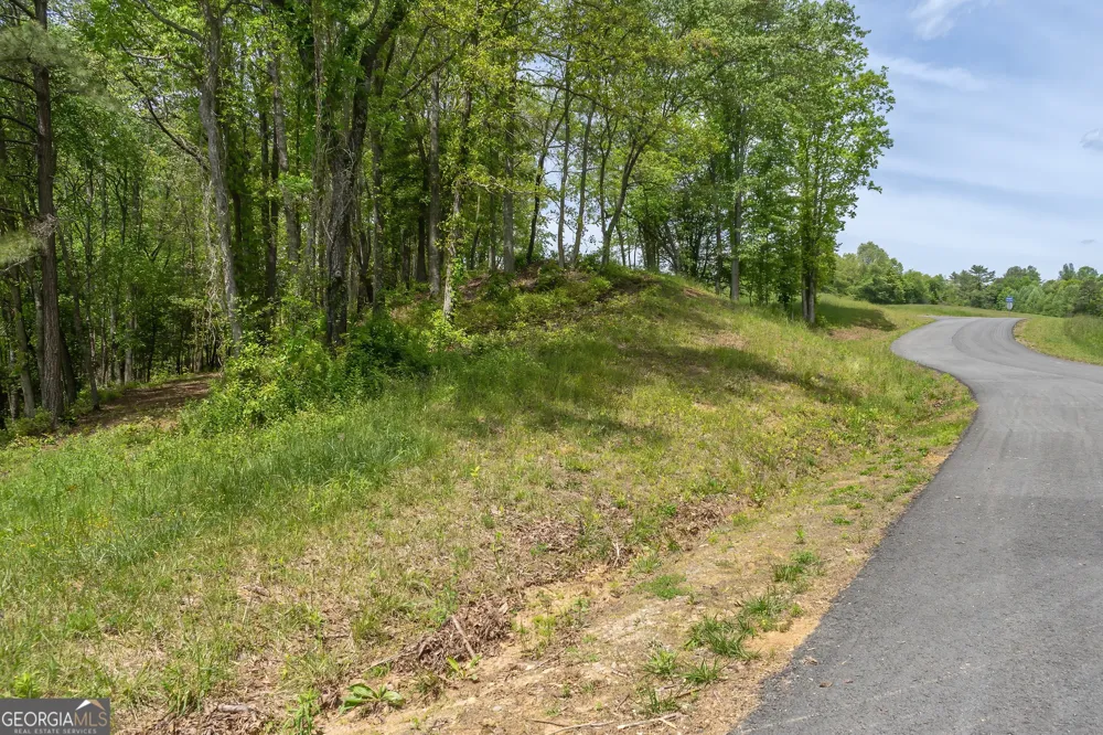 LOT 5-5A Waterstone WAY Mineral Bluff, GA 30559