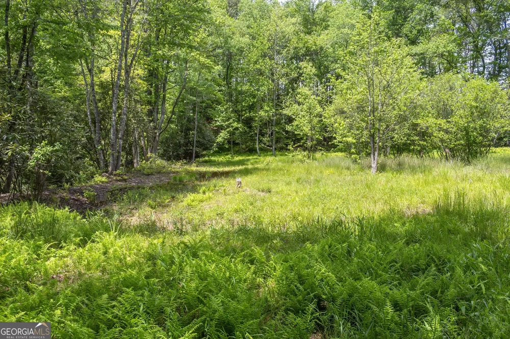 LOT 5-5A Waterstone WAY Mineral Bluff, GA 30559