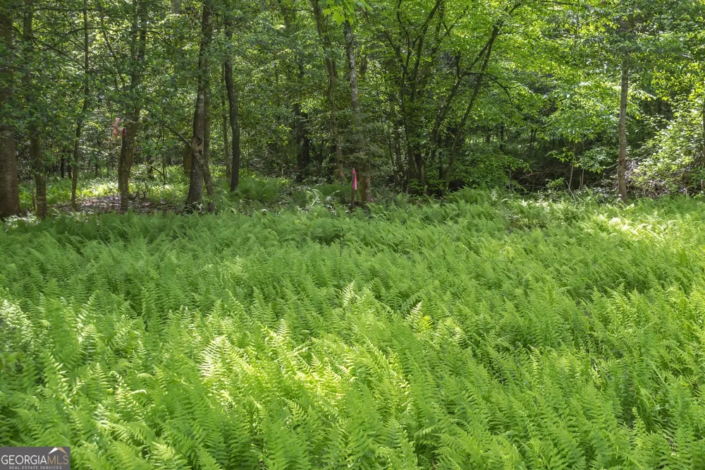 LOT 5-5A Waterstone WAY Mineral Bluff, GA 30559