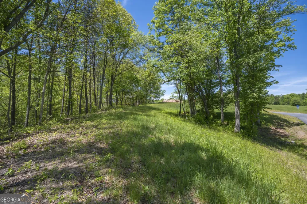 LOT 5-5A Waterstone WAY Mineral Bluff, GA 30559