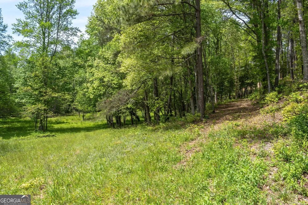 LOT 5-5A Waterstone WAY Mineral Bluff, GA 30559