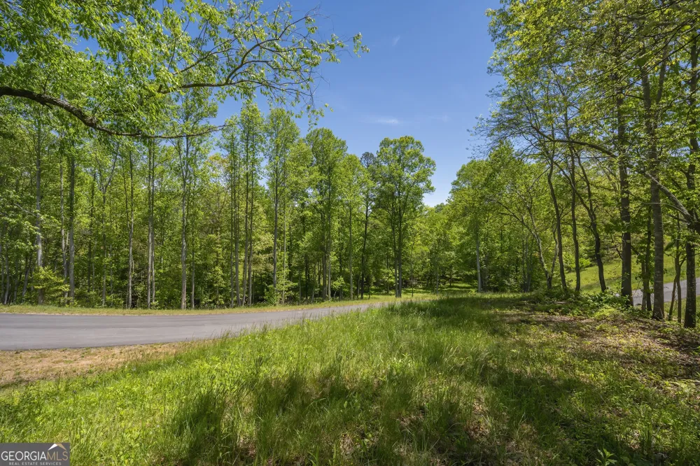 LOT 5-5A Waterstone WAY Mineral Bluff, GA 30559