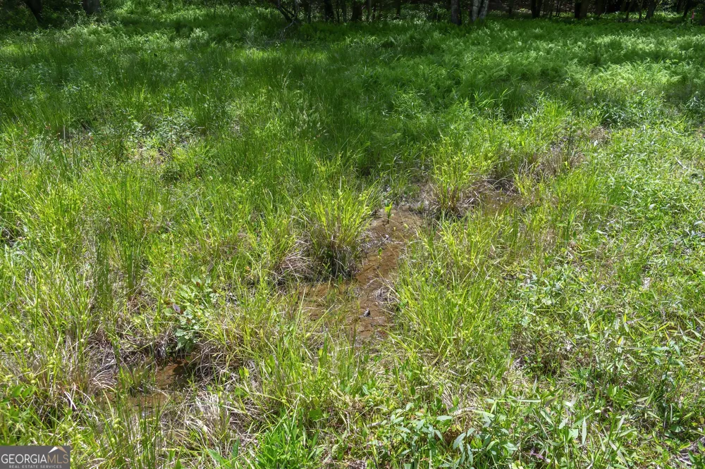 LOT 5-5A Waterstone WAY Mineral Bluff, GA 30559