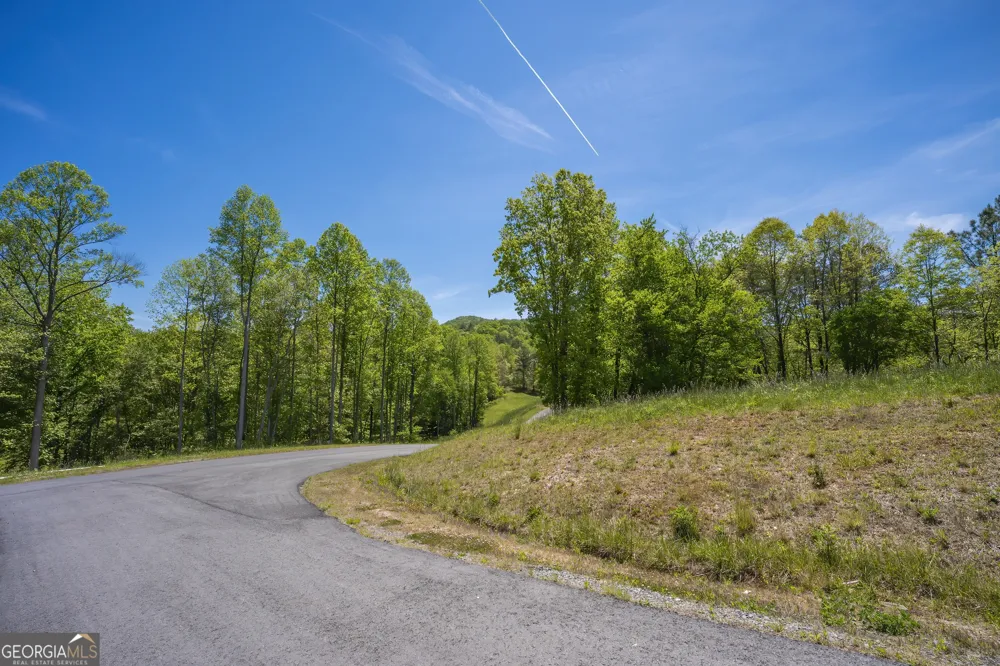 LOT 4-4A Waterstone WAY Mineral Bluff, GA 30559