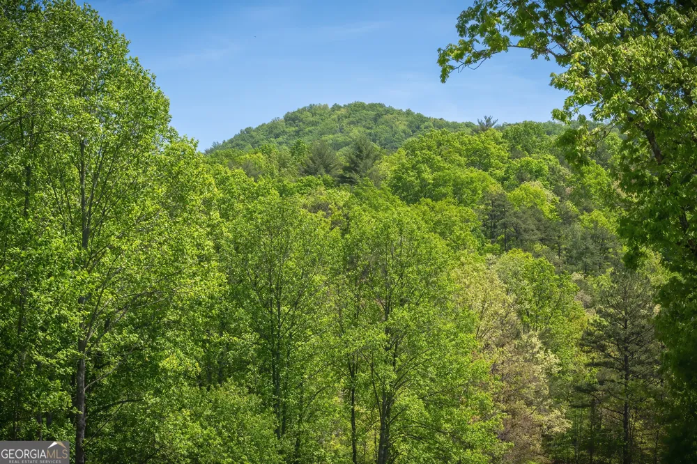 LOT 4-4A Waterstone WAY Mineral Bluff, GA 30559