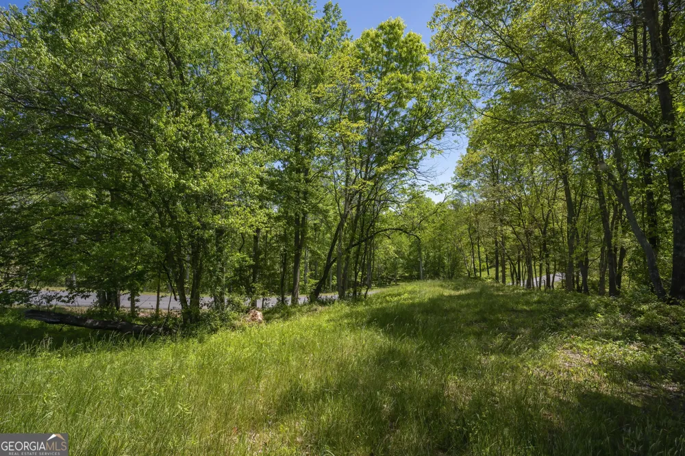LOT 4-4A Waterstone WAY Mineral Bluff, GA 30559
