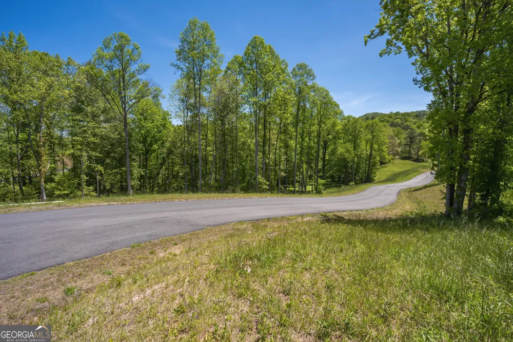 LOT 4-4A Waterstone WAY Mineral Bluff, GA 30559