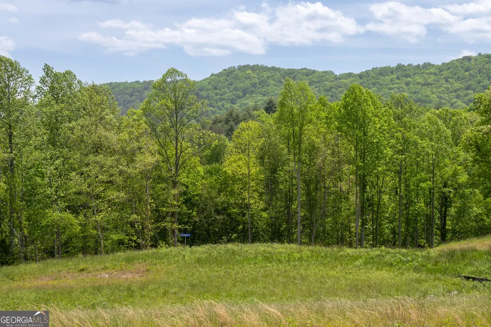 LOT 15 Waterstone WAY Mineral Bluff, GA 30559