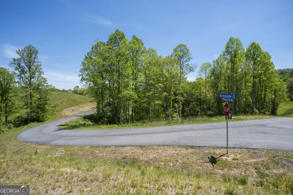 LOT 15 Waterstone WAY Mineral Bluff, GA 30559