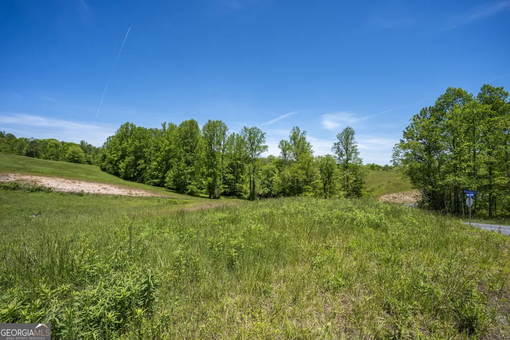 LOT 15 Waterstone WAY Mineral Bluff, GA 30559