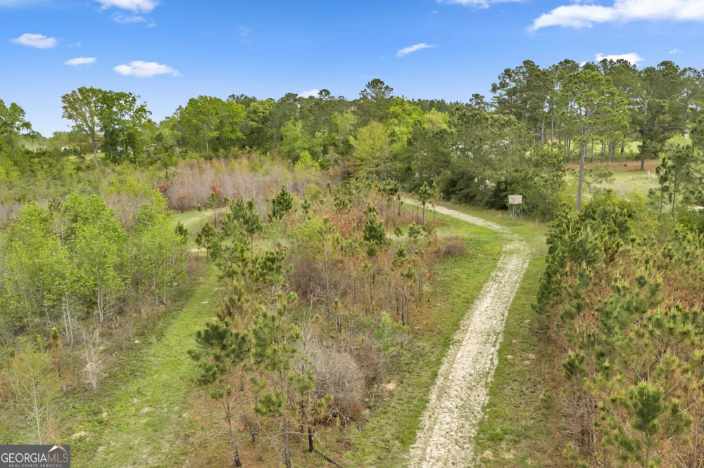 3341 Worth Co Line RD Albany, GA 31705