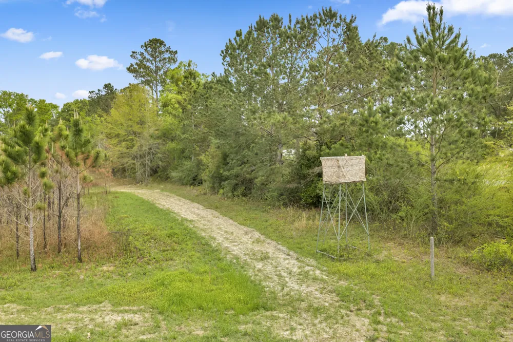 3341 Worth Co Line RD Albany, GA 31705