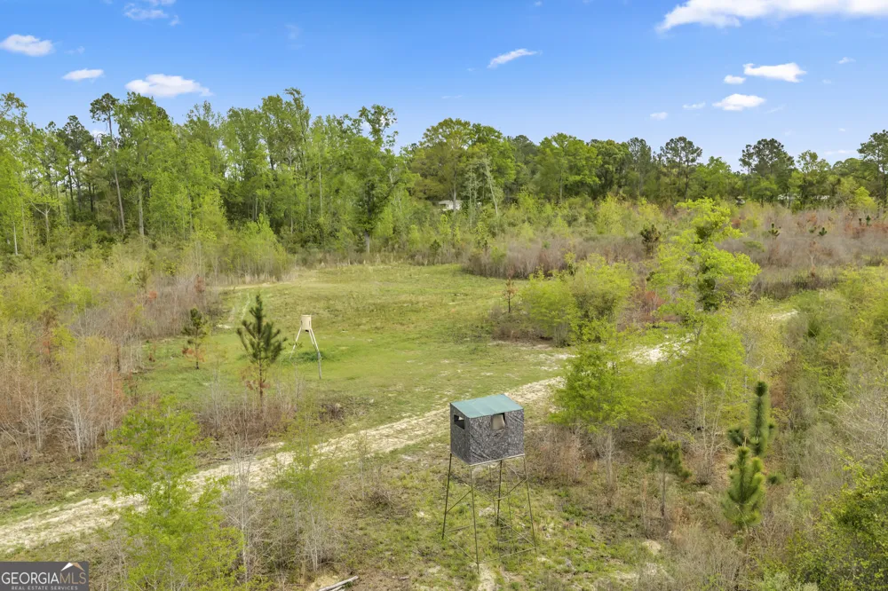 3341 Worth Co Line RD Albany, GA 31705