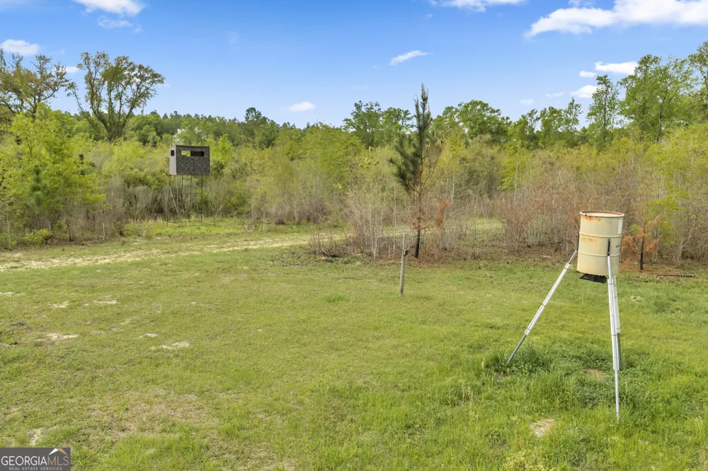 3341 Worth Co Line RD Albany, GA 31705
