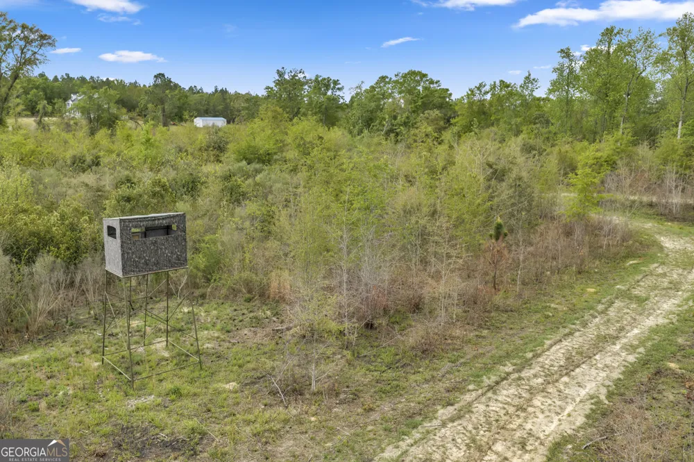 3341 Worth Co Line RD Albany, GA 31705