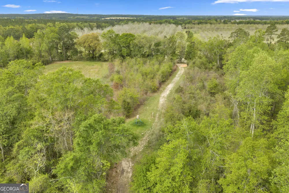 3341 Worth Co Line RD Albany, GA 31705