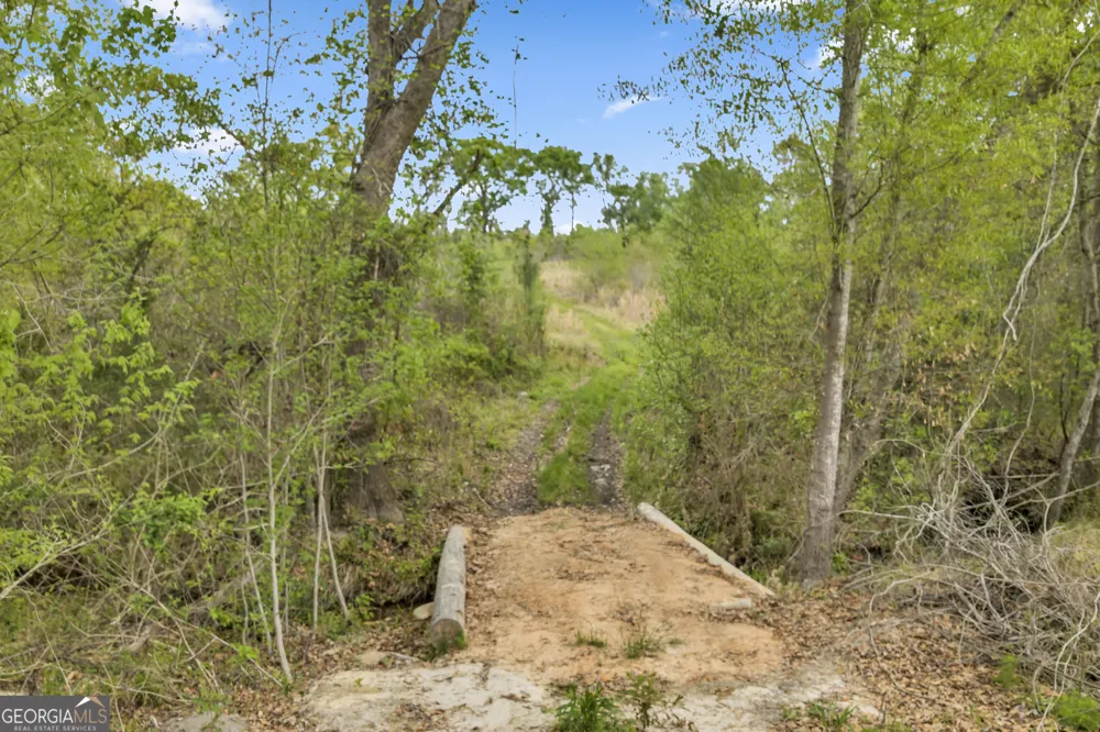 3341 Worth Co Line RD Albany, GA 31705