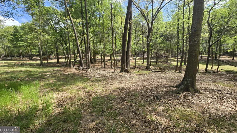 213 Duncan Swindle RD Commerce, GA 30530