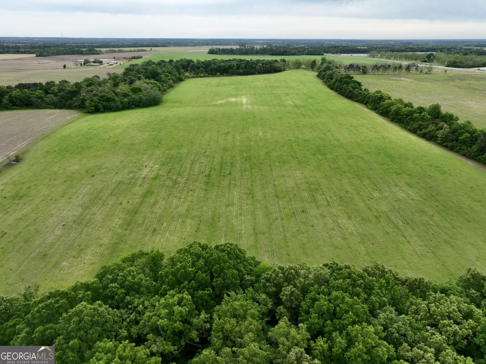 0 Fourteen Lane RD Hawkinsville, GA 31036