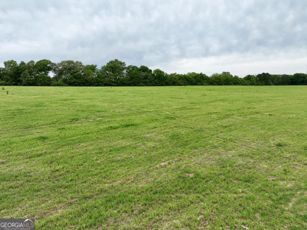 0 Fourteen Lane RD Hawkinsville, GA 31036