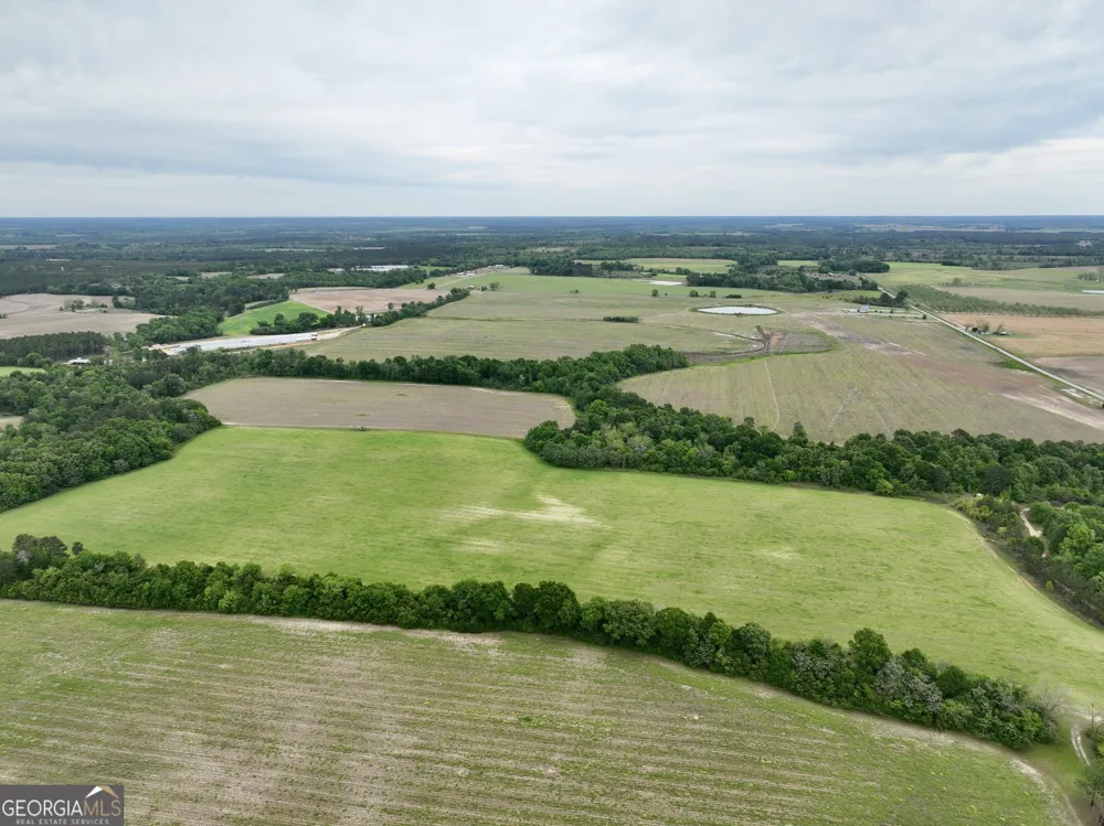 0 Fourteen Lane RD Hawkinsville, GA 31036