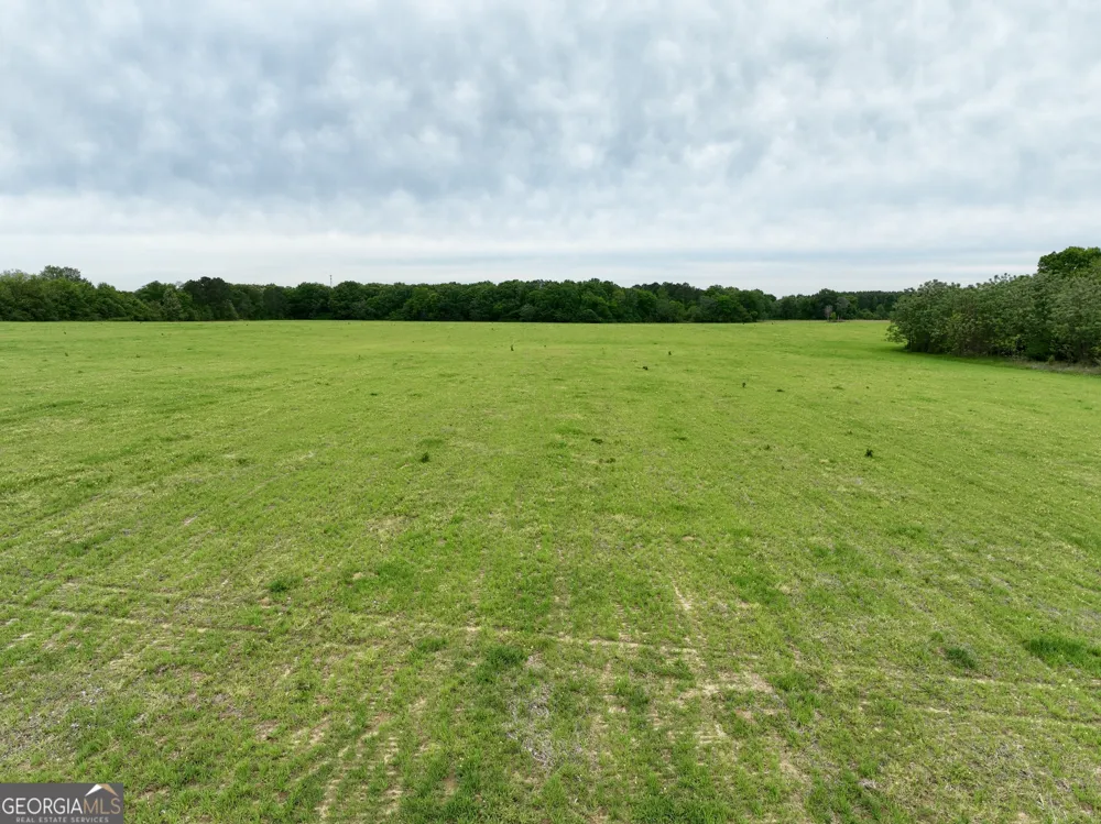 0 Fourteen Lane RD Hawkinsville, GA 31036