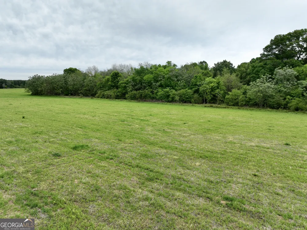 0 Fourteen Lane RD Hawkinsville, GA 31036