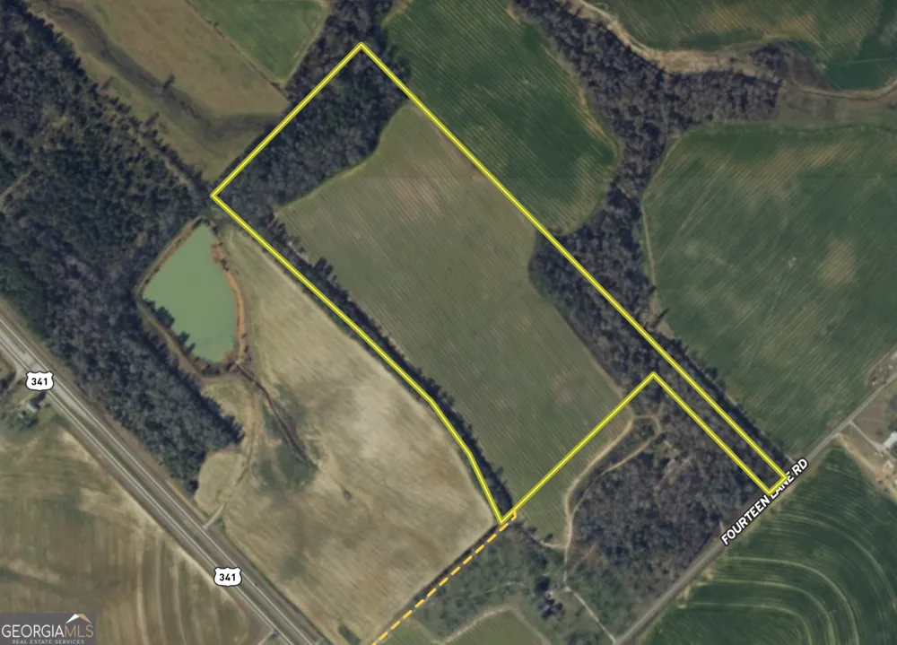 0 Fourteen Lane RD Hawkinsville, GA 31036