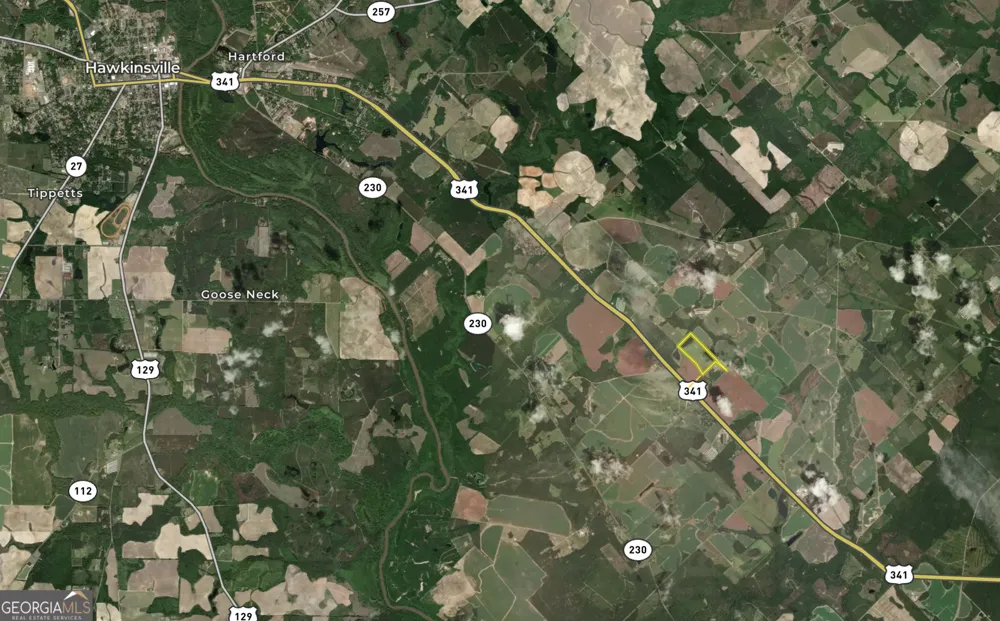 0 Fourteen Lane RD Hawkinsville, GA 31036
