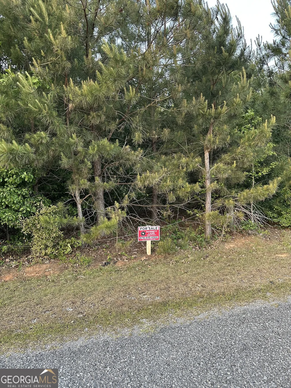 LOT 5 County Road 520 Centre, AL 35960