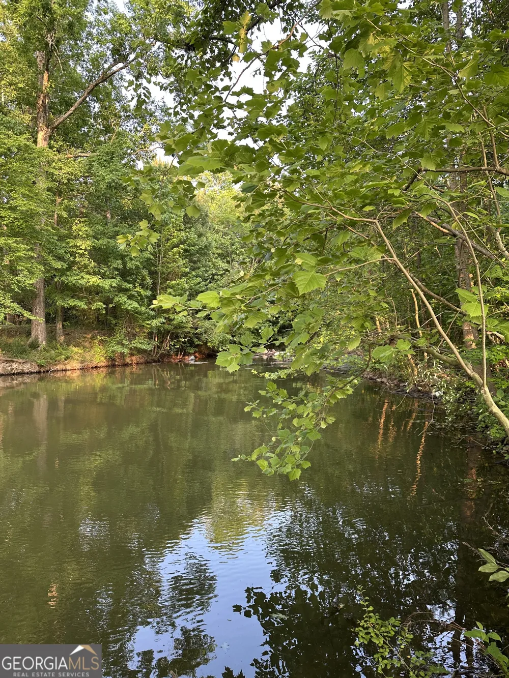 LOT 5 County Road 520 Centre, AL 35960