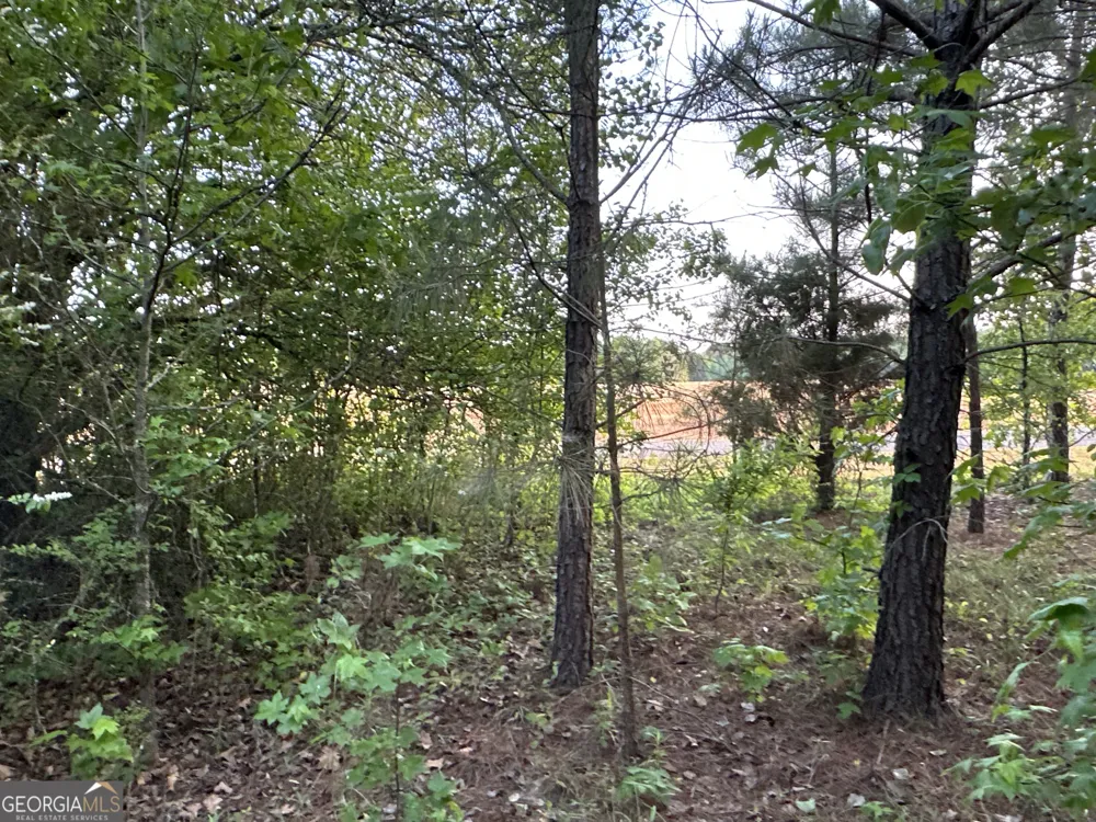LOT 5 County Road 520 Centre, AL 35960