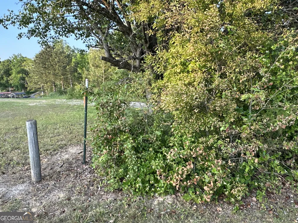 LOT 5 County Road 520 Centre, AL 35960