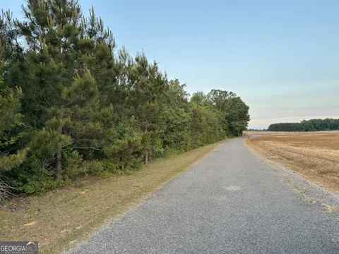 LOT 7 County Road 520
