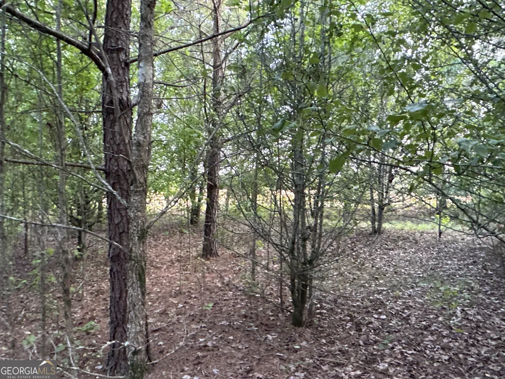 LOT 7 County Road 520 Centre, AL 35960