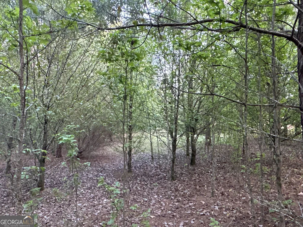 LOT 7 County Road 520 Centre, AL 35960