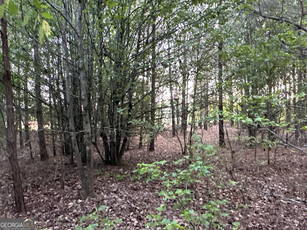 LOT 7 County Road 520 Centre, AL 35960