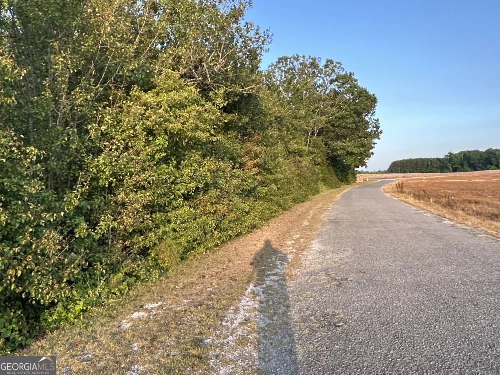 LOT 7 County Road 520 Centre, AL 35960