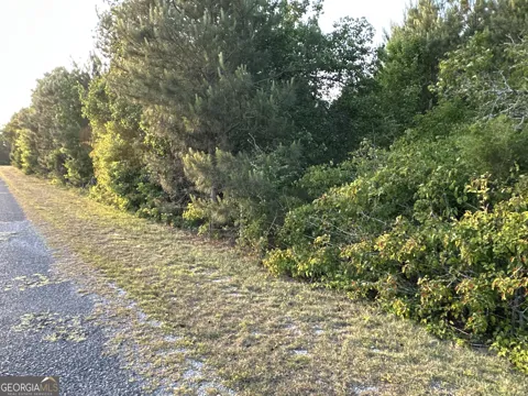 LOT 8 County Road 520