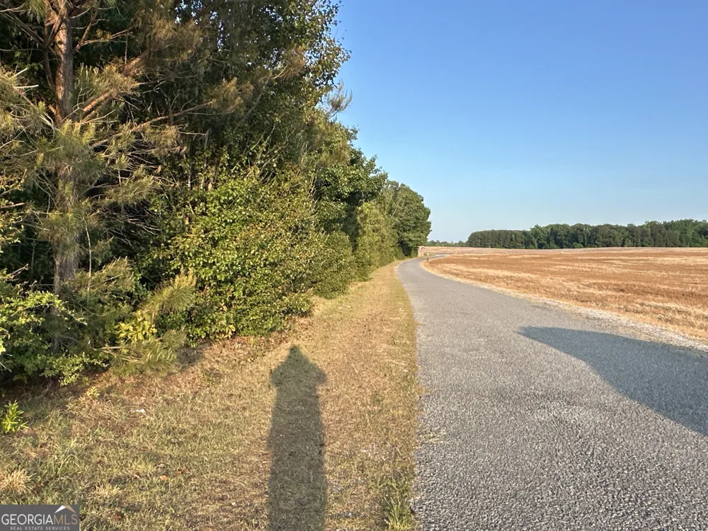 LOT 8 County Road 520 Centre, AL 35960
