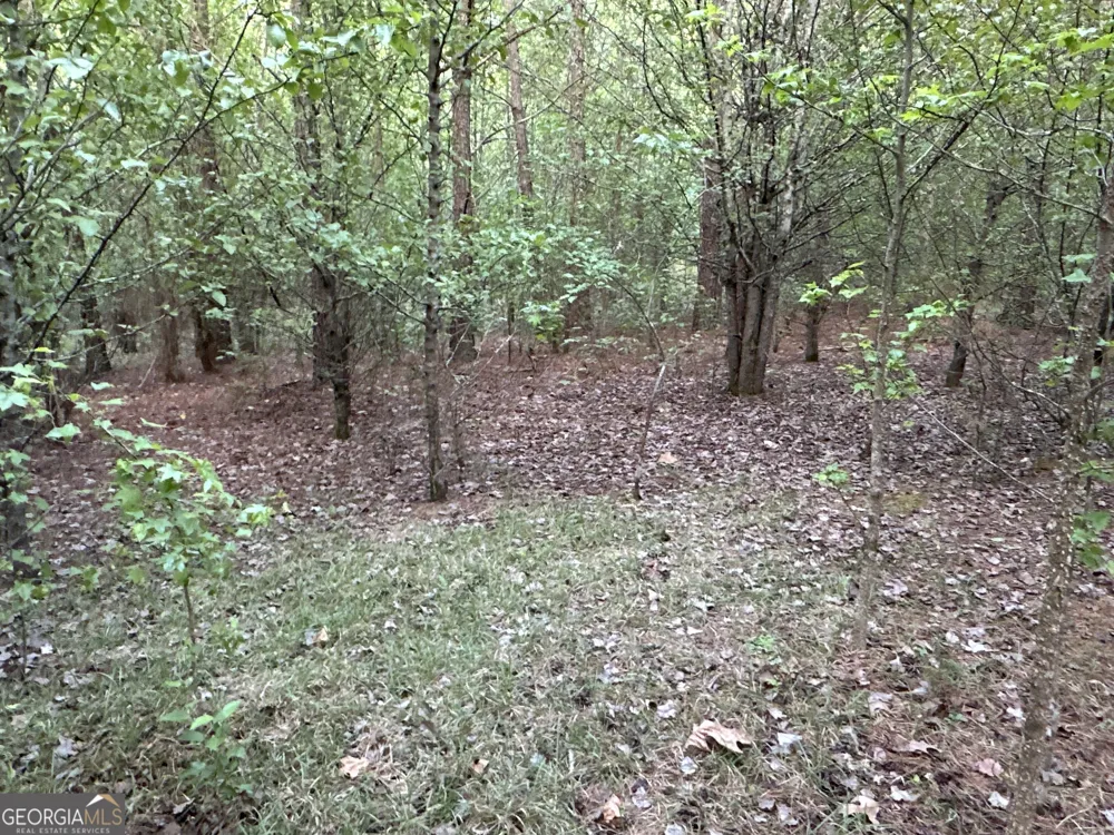 LOT 8 County Road 520 Centre, AL 35960