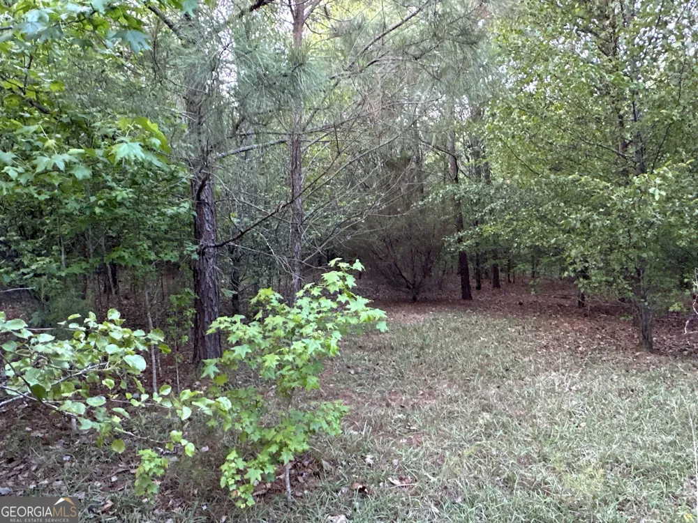 LOT 8 County Road 520 Centre, AL 35960