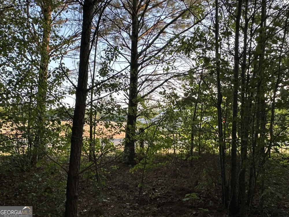 LOT 8 County Road 520 Centre, AL 35960