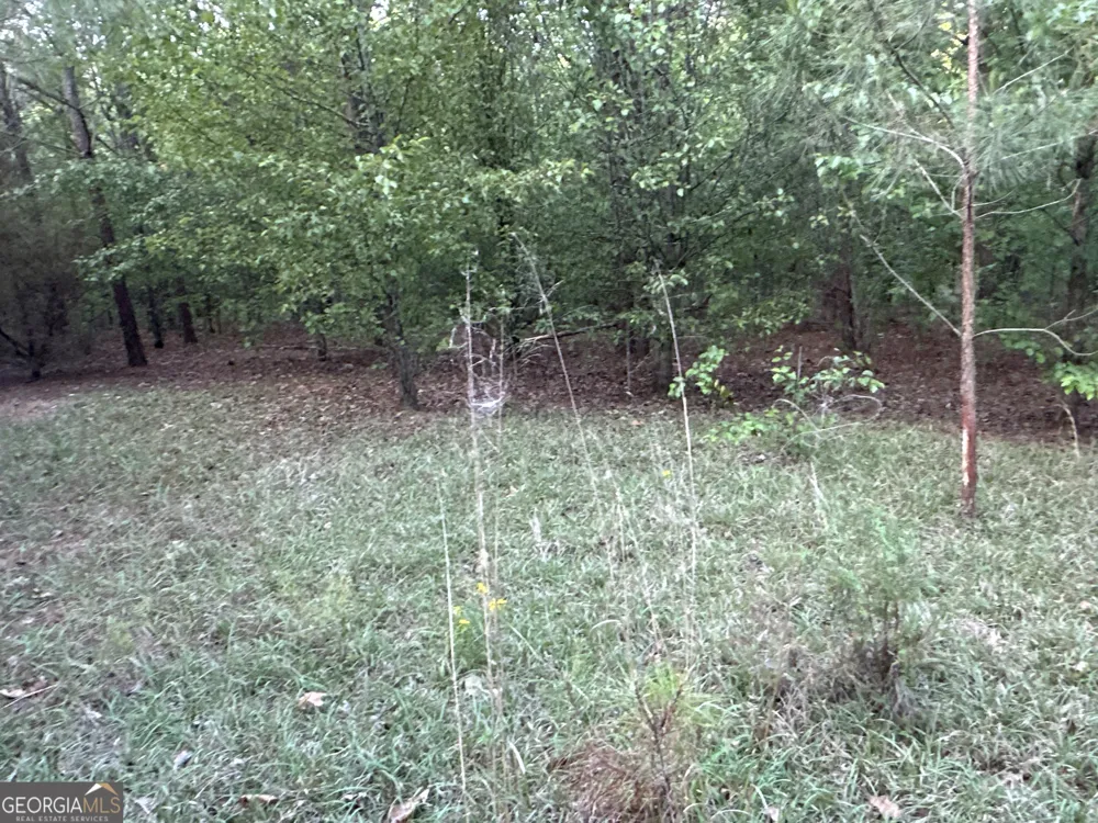 LOT 8 County Road 520 Centre, AL 35960