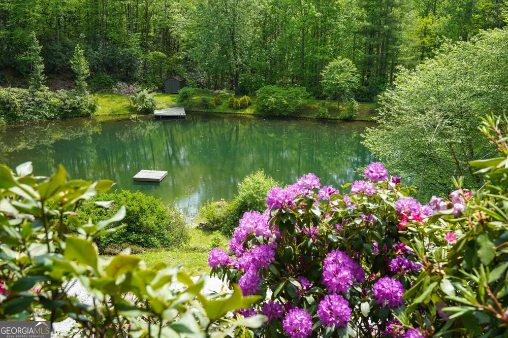 115 Dam Lake DR Dillard, GA 30537