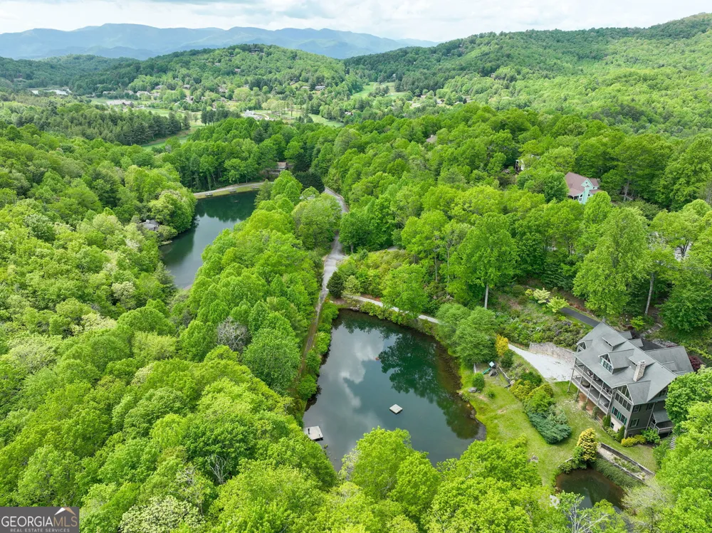 115 Dam Lake DR Dillard, GA 30537