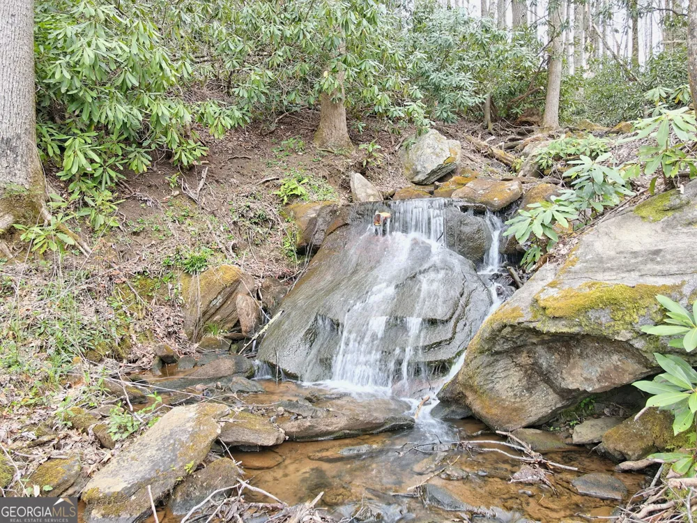115 Dam Lake DR Dillard, GA 30537