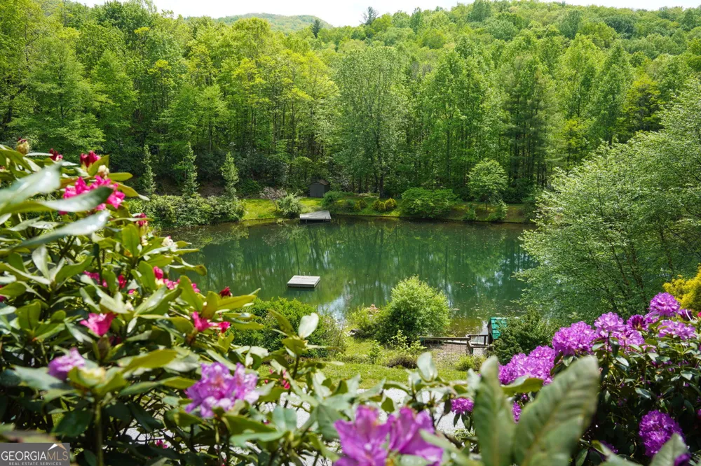 115 Dam Lake DR Dillard, GA 30537