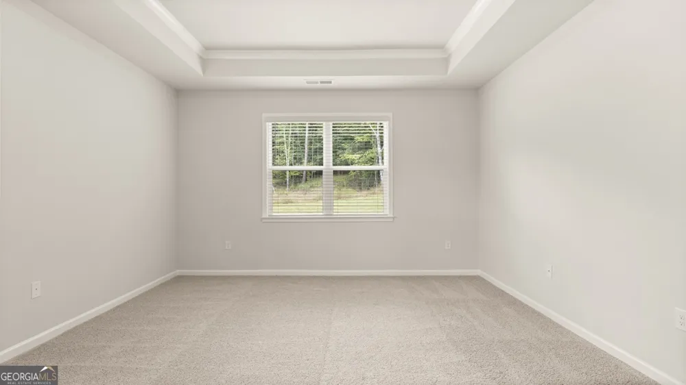 1170 Amerson ST Buckhead, GA 30625
